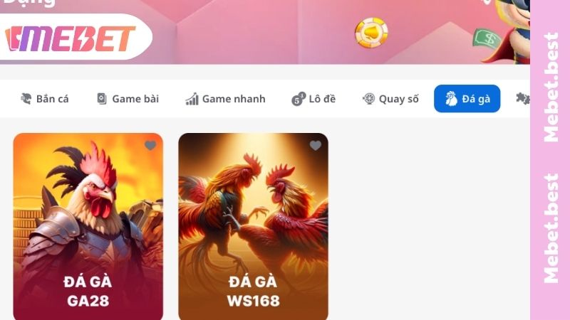 Các trận đá gà MEBET siêu kịch tính