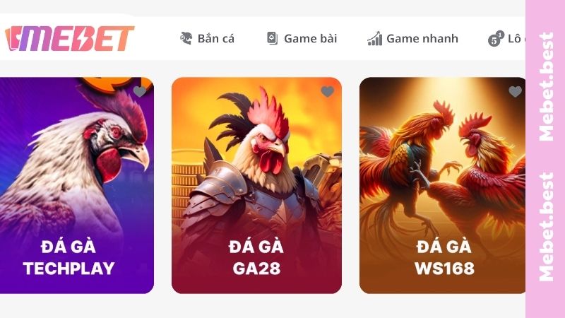 Đa dạng cửa và loại hình đá gà MEBET