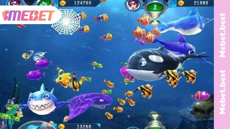 Tool Bắn Cá - Khái Niệm Và Cách Áp Dụng Săn Cá Hiệu Quả Những điều cần lưu ý khi sử dụng tool bắn cá