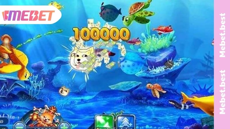 Tool Bắn Cá - Khái Niệm Và Cách Áp Dụng Săn Cá Hiệu Quả Những loại tool hack bắn cá phổ biến nhất